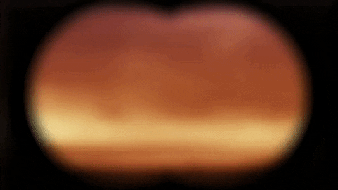 Discover Bella Thorne GIF by FLETCHER