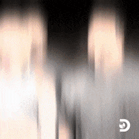 Street Outlaws GIF by Discovery