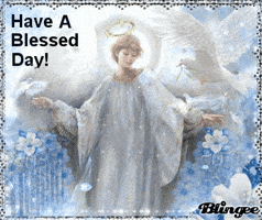 soblessed GIF