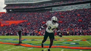 College Football GIF by USF Athletics