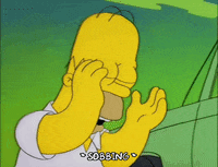 homer simpson GIF