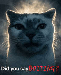 Cat Meme GIF