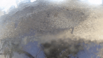 A Sand Portrait (2015)
