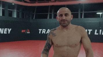 Bzzzzzzz! 