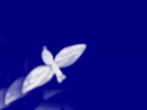 Snow Bird GIF by Barbara Pozzi