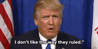 donald trump GIF