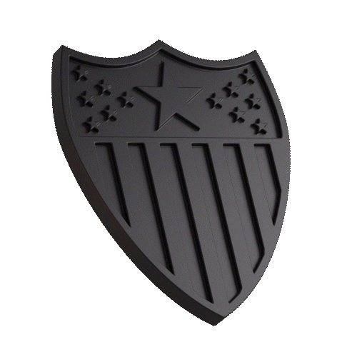 Us Army Stars Sticker by GoArmy for iOS & Android GIPHY