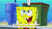season 9 GIF by SpongeBob SquarePants