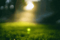 Early Morning GIF by subtlestrokes