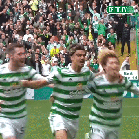Celtic Fc Yes GIF by Celtic Football Club