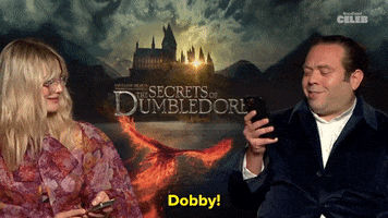 Harry Potter GIF by BuzzFeed