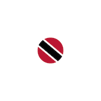 Flag Bandera Sticker by elturf