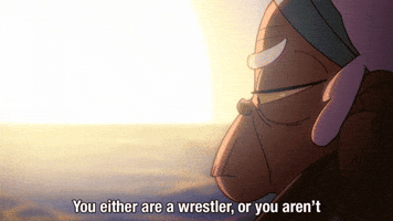Wrestle Pro Wrestling GIF by Adult Swim