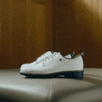 Fj GIF by FootJoy