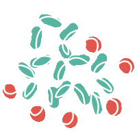 Christmas Sticker