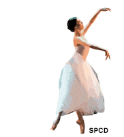 Ballet Giselle Sticker by spcd
