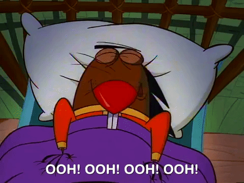 angry beavers nicksplat GIF