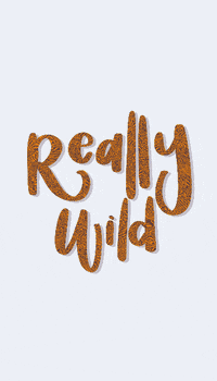 BtoZLettering animal wild leopard print animal print GIF