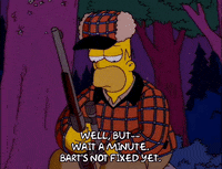 homer simpson GIF