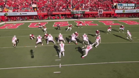 tsco1035 giphyupload GIF