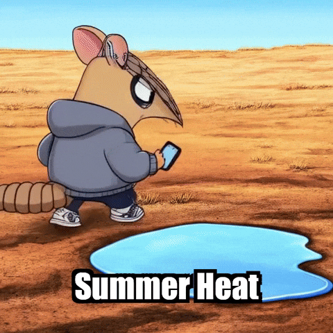 Summer Heat GIF by Chillo Dillo