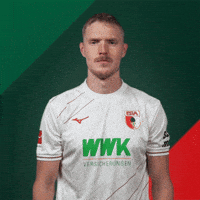 Logo Badge GIF by FC Augsburg 1907
