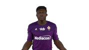 Come On Calcio Sticker by ACF Fiorentina