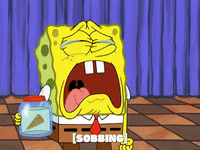 season 4 GIF by SpongeBob SquarePants
