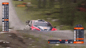 Speed Hyundai GIF by FIA World Rally Championship