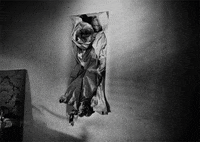 beauty and the beast GIF by Maudit