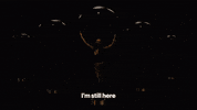 Music Video Shine GIF by Taylor Swift