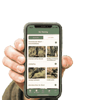 Gundogapp  Sticker