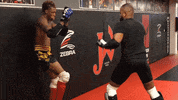 Training Albuquerque GIF by Jackson Wink MMA Academy