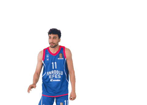 Happy Dance Sticker by Anadolu Efes SK