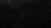 Play City GIF by Payne Records