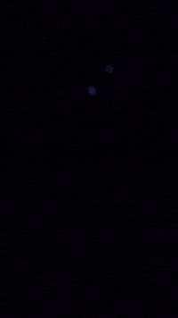 Play City GIF by Payne Records