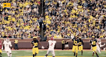 Go Blue Michigan Football GIF by Michigan Athletics