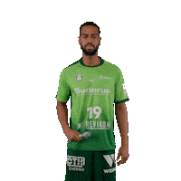 Handball Sticker by DAIKIN HBL