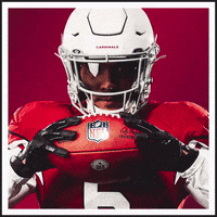 GIF by Arizona Cardinals