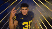 Go Blue Michigan Football GIF by Michigan Athletics