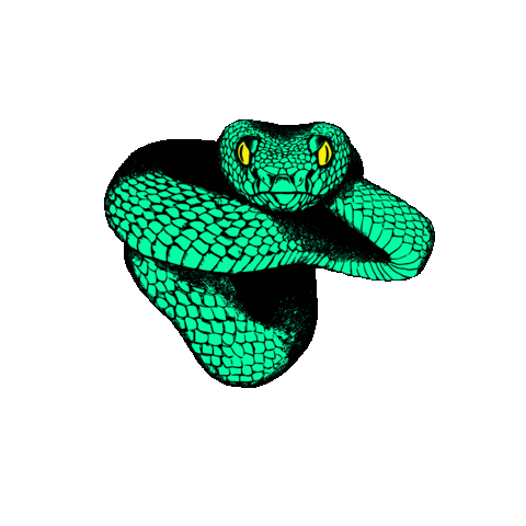 Green Snake Sticker by Fauna