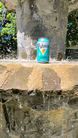 Summer Water GIF by Palmia Beer