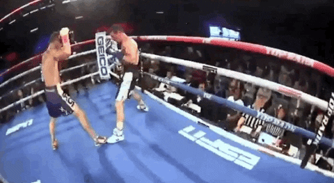 toprank giphyupload fight boxing fighting GIF
