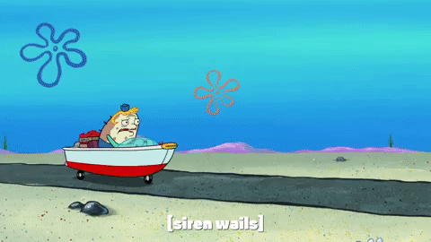 season 10 episode 6 GIF by SpongeBob SquarePants