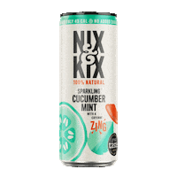 nixandkixnatural vegan natural ginger sparkling Sticker