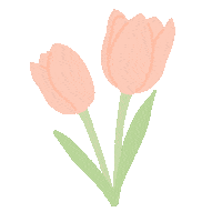 Spring Tulips Sticker