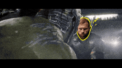 Conor Mcgregor Mma GIF by Parimatch