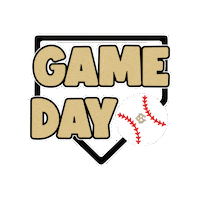 Game Day Baseball Sticker by LITTLE SHARK AND CO.