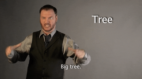 sign language tree GIF by Sign with Robert