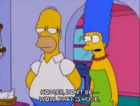 homer simpson GIF